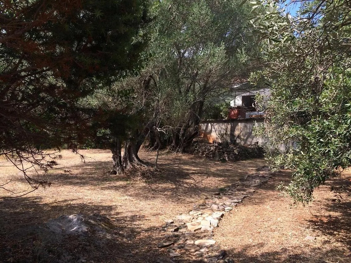 Secluded Fisherman'S Cottage Zman, Dugi Otok - 19000 度假居