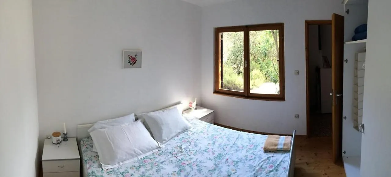 Secluded Fisherman'S Cottage Zman, Dugi Otok - 19000 Holiday home Zman